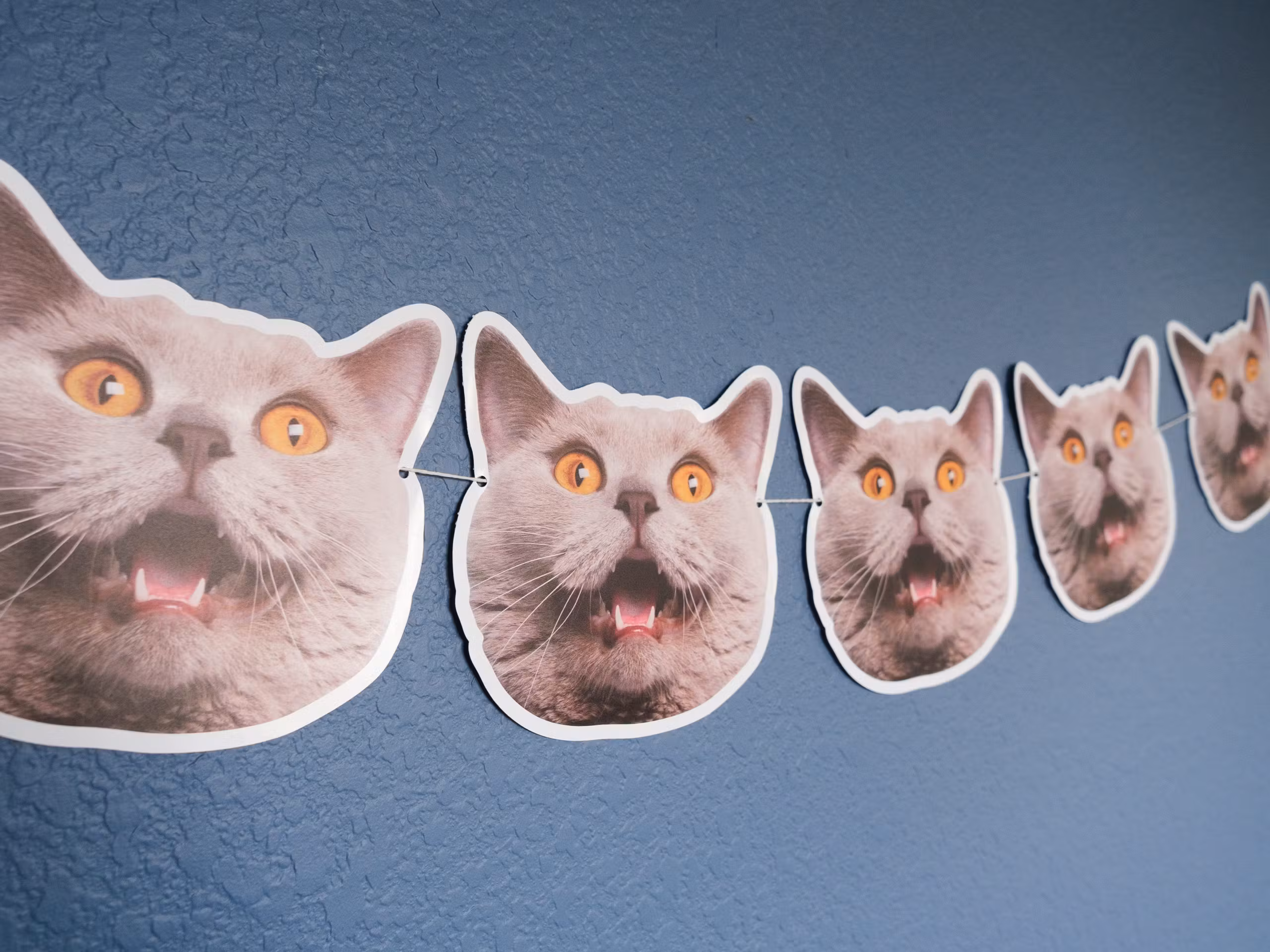 Face Photo Banner - Image 3